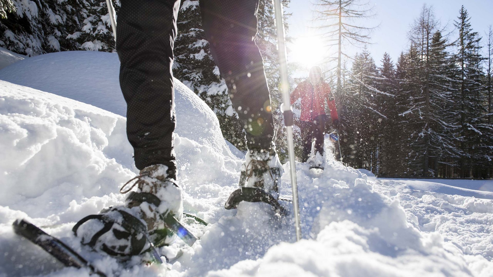 Vacanza in Val Gardena d’inverno Persone che fanno escursione con racchette da neve in bosco innevato al sole